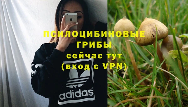 spice Абдулино