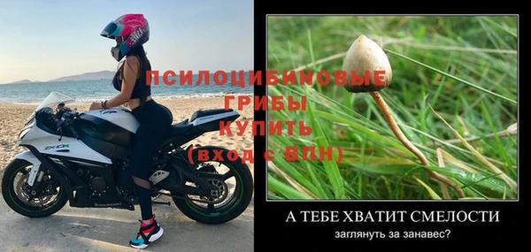 spice Абдулино
