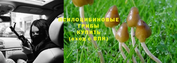 jwh Абаза