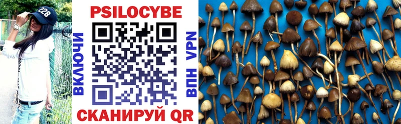 blacksprut онион Абдулино Галлюциногенные грибы MAGIC MUSHROOMS